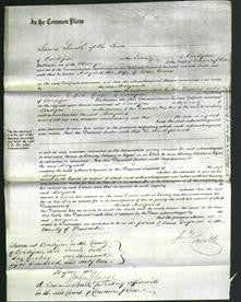 Court of Common Pleas - Margaret Evans-Original Ancestry