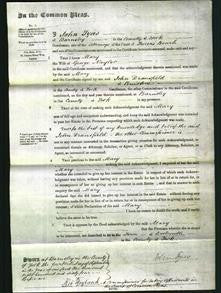 Court of Common Pleas - Mary Naylor-Original Ancestry