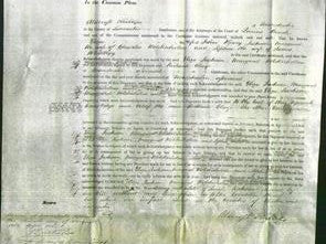 Court of Common Pleas - Eliza Jackson, Margaret Wolstenholme and Sophia Whitelegg-Original Ancestry