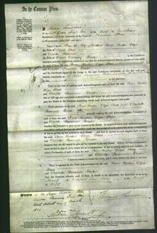 Court of Common Pleas - Jane Newton, Eliza Cross and Charlotte Susannah Baden-Original Ancestry