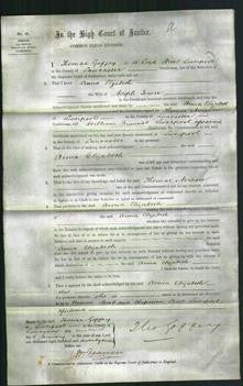 Court of Common Pleas - Anna Elizabeth Town-Original Ancestry