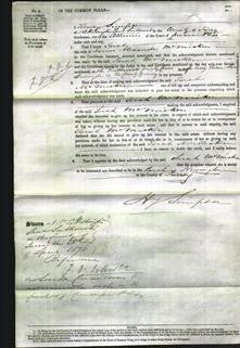 Court of Common Pleas - Sarah McMicken-Original Ancestry