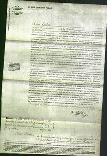 Court of Common Pleas - Mary Hollis