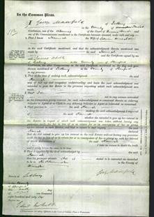 Court of Common Pleas - Hannah Meacham-Original Ancestry