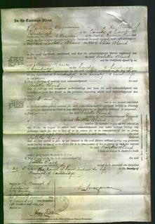 Court of Common Pleas - Isabella Bland-Original Ancestry