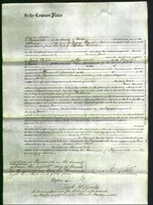 Court of Common Pleas - Jane Roberts-Original Ancestry