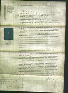 Court of Common Pleas - Susannah Younger-Original Ancestry