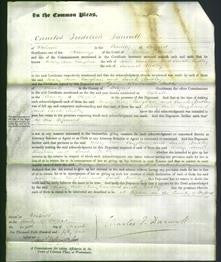 Court of Common Pleas - Mary Ann Vaughan and Sarah Dudley-Original Ancestry