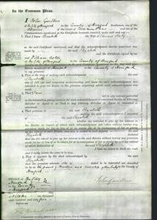 Court of Common Pleas - Elizabeth Sexty-Original Ancestry