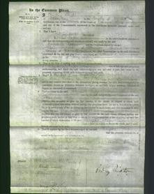 Court of Common Pleas - Elizabeth Cooper-Original Ancestry