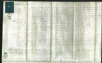 Court of Common Pleas - Susanna Middleton Coleman and Catherine Coleman-Original Ancestry