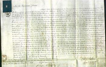 Court of Common Pleas - Mary Ann Powell-Original Ancestry