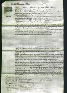 Court of Common Pleas - Mary Ann Calley-Original Ancestry