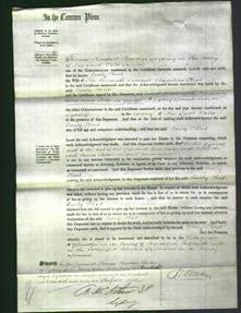 Court of Common Pleas - Emily Kent-Original Ancestry