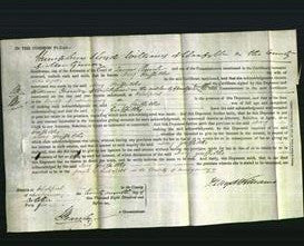 Court of Common Pleas - Mary Griffiths-Original Ancestry