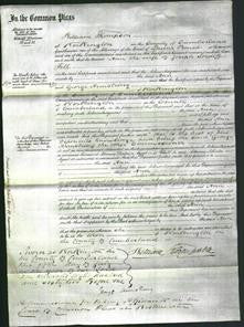 Court of Common Pleas - Ann Fell-Original Ancestry