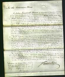 Court of Common Pleas - Mary Pierce-Original Ancestry