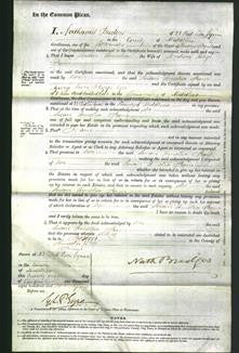 Court of Common Pleas - Susan Amelia Ram-Original Ancestry