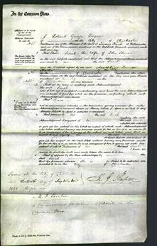 Court of Common Pleas - Sarah Johnson-Original Ancestry