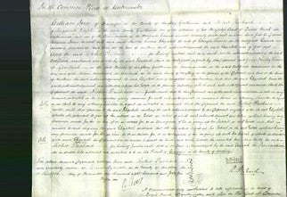 Court of Common Pleas - Elizabeth Thomas-Original Ancestry