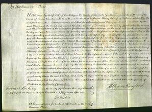 Court of Common Pleas - Mary Merrett-Original Ancestry