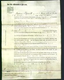 Court of Common Pleas - Agnes Henrietta Peters