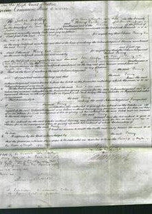 Court of Common Pleas - Fanny Dee-Original Ancestry