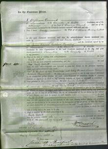 Court of Common Pleas - Emily Gillett-Original Ancestry