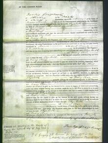 Court of Common Pleas - Elizabeth Shephard and Ann Ruff-Original Ancestry