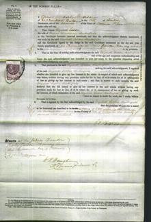 Court of Common Pleas - Elizabeth Loetitia Buckerfield-Original Ancestry