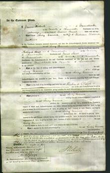 Court of Common Pleas - Lucy Emma Matthews-Original Ancestry