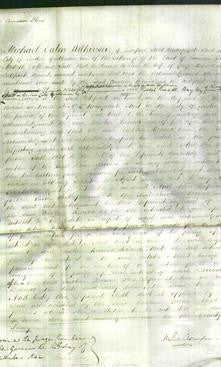 Court of Common Pleas - Caroline Browne-Original Ancestry