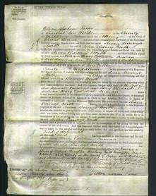 Court of Common Pleas - Susan Baroness North-Original Ancestry