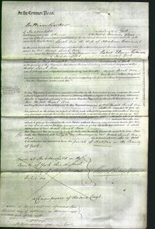 Court of Common Pleas - Sarah Ann Beaumont-Original Ancestry