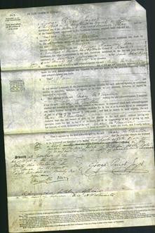 Court of Common Pleas - Mary McMullon-Original Ancestry