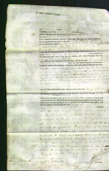 Court of Common Pleas - Mary Sophia Potter-Original Ancestry