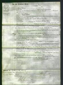Court of Common Pleas - Jane Mitton-Original Ancestry