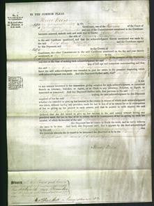 Court of Common Pleas - Mary Ann Palethorpe-Original Ancestry