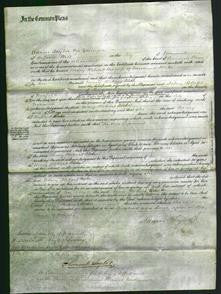 Court of Common Pleas - Mary Hobart Blake-Original Ancestry