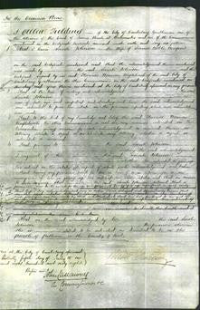 Court of Common Pleas - Sarah Johnson Newport-Original Ancestry