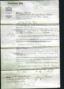 Court of Common Pleas - Elizabeth Penney-Original Ancestry