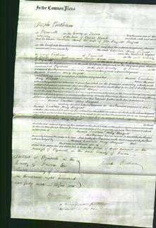 Court of Common Pleas - Caroline Mary Sargent-Original Ancestry