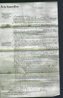 Court of Common Pleas - Mary Jane Robertson-Original Ancestry