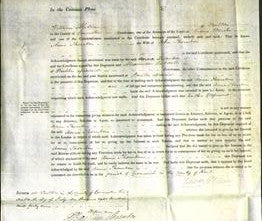 Court of Common Pleas - Anne Thornber-Original Ancestry