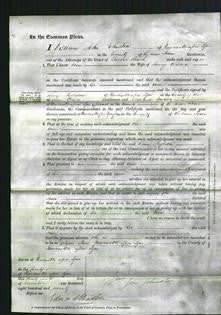 Court of Common Pleas - Ann Wilson-Original Ancestry