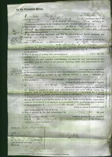 Court of Common Pleas - Jemima Hewett-Original Ancestry