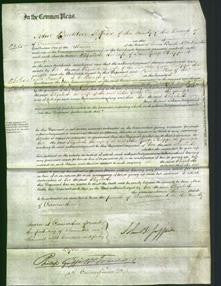 Court of Common Pleas - Elizabeth Philipps-Original Ancestry
