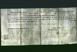 Deed by Married Women - Ann Pawley, Sophia Montague-Original Ancestry