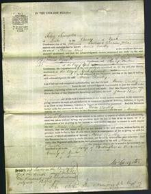 Court of Common Pleas - Maria Dorothy Ward-Original Ancestry