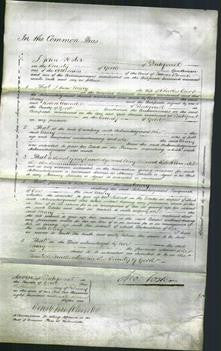 Court of Common Pleas - Mary Carr-Original Ancestry